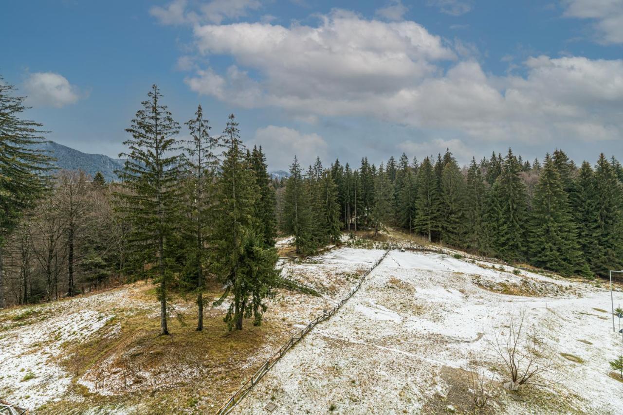 Ambient Apartment In Silver Montain - Poiana Brasov Bagian luar foto
